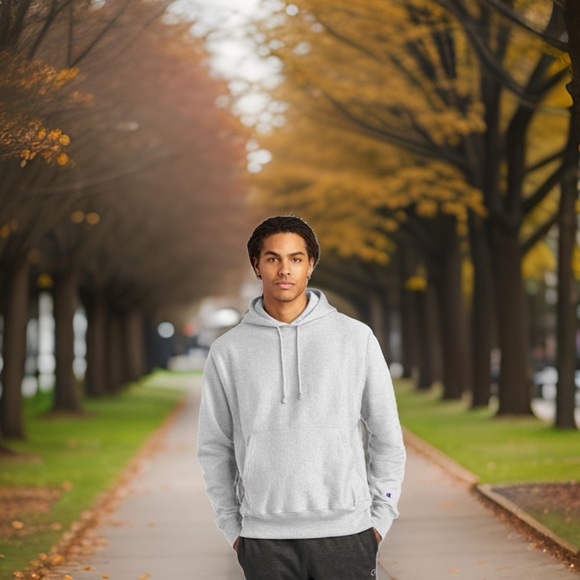 Champion Gray Hoodie - Picture 1 of 5
